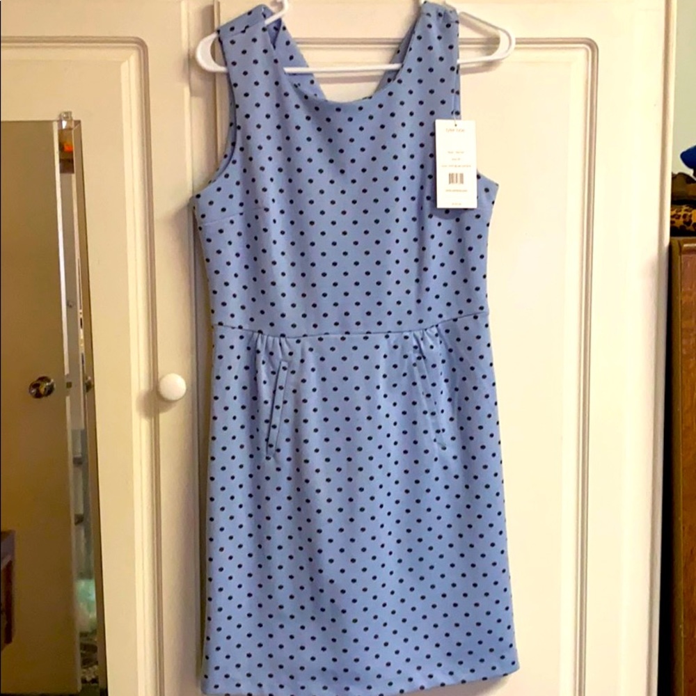 Tyler Böe Polka Dot Dress